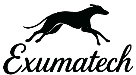 Greyhound Betting Insights